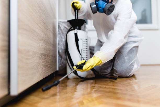 Best Affordable Pest Control Services  in Camdenton, MO