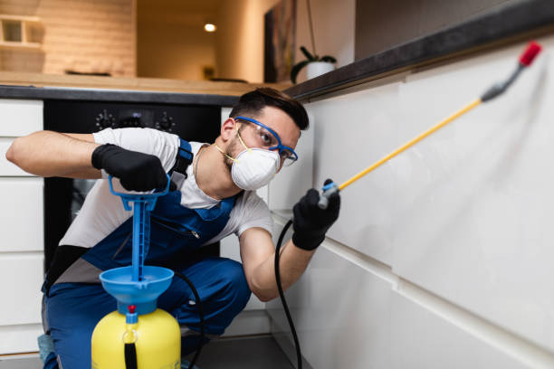 Best Wildlife Control Services  in Camdenton, MO