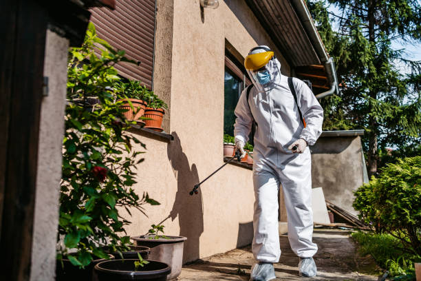 Best Pest Prevention Services  in Camdenton, MO