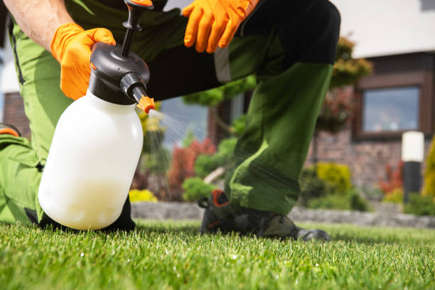 Best Insect Control  in Camdenton, MO