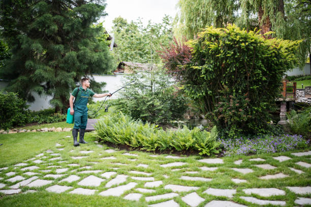 Best Pest Inspection Near Me  in Camdenton, MO