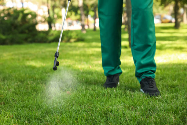 Best Flea Control Services  in Camdenton, MO