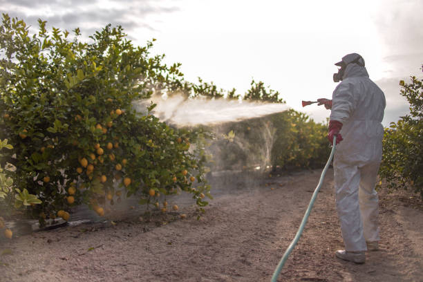 Pest Control for Restaurants in Camdenton, MO