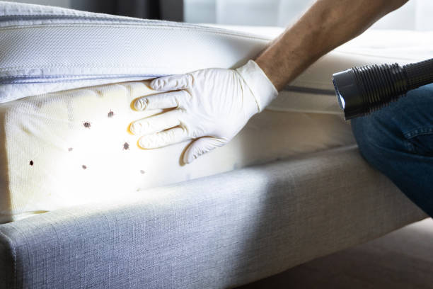 Best Commercial Pest Control Services  in Camdenton, MO