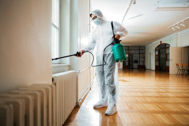 Best Wasp Removal Services  in Camdenton, MO