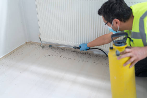 Best Termite Control Services  in Camdenton, MO