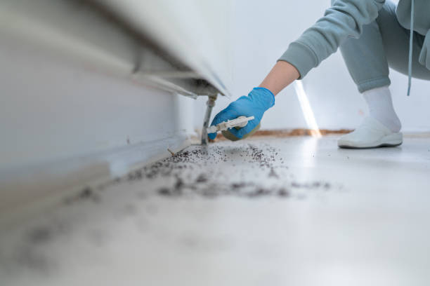 Best Best Pest Control Companies  in Camdenton, MO
