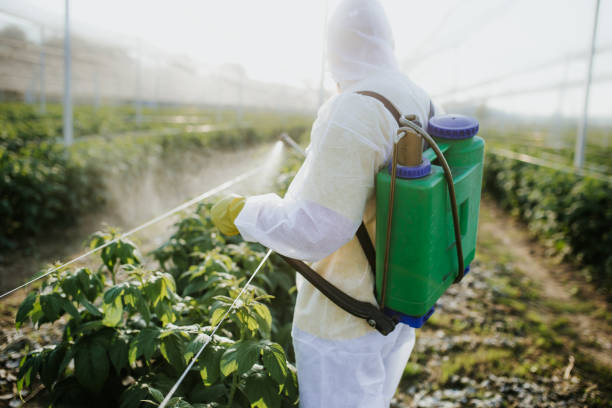 Best Pest Control Cost  in Camdenton, MO